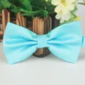 Light blue textured polyester bow tie, elegant grid pattern for business and casual wear. - Lake Blue