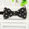 Gros plan sur les détails d'un nœud papillon noir à pois blancs, accessoire élégant. - LJ-Y08 noir