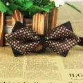 Men's pointed bow tie polyester business casual wedding black brown polka dots accessory - LJ-JJ16