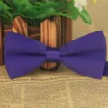 Einfarbige violette Herrenfliege, doppellagige matte Fliege für Bräutigam Hochzeit und Anlass. - Dunkellila