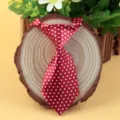 Red polka dot pet tie, cute dog puppy cat necktie accessory for party or daily wear. - Red Polka Dot (LD-CW01)