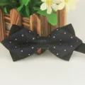Schwarze spitze Herren Fliege mit Polka Punkten, elegantes zweilagiges Polyester Business Design. - LJ-JJ202