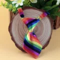 Colorful rainbow striped patterned kids pet tie polyester performance necktie accessory - Rainbow Stripe (LD-CW02)