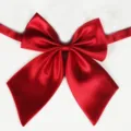 Noeud papillon en satin rouge cravate col uniforme JK accessoire pour femmes mode - 5 rouge foncé