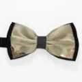 Detailed close-up shot of double layer bow tie featuring metallic corners and velvet border. - Light Champagne