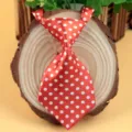 Red polka dot baby kids and pet necktie stylish accessory for cute puppy cat party wear today. - Red with White Dots (LD-CW09)