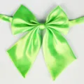 Nœud papillon en satin vert pour femme, accessoire de col d'uniforme JK, belle variante. - 12 Vert pomme