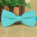 Türkisblaue Fliege für Herren, einfarbiger Polyester Flieger für Hochzeit und Party. - Seeblau