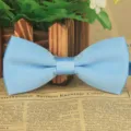 Hellblauer matter einfarbiger doppelseitiger Polyester Stoff Fliege fuer Herren Hochzeit. - Hellblau