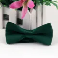 Elegante papillon verde scuro a doppio strato in poliestere lucido per occasioni formali. - Verde Scuro