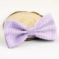 Lila gepunktete Polyester Fliege für Herren formelle Hochzeit Business Party Fliegen Accessoire - Lila Glanzpunkte (LJ-CD12)