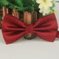 Red polyester jacquard bow tie, classic fine grid pattern, elegant business formal accessory. - Wine Red