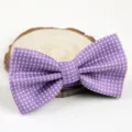 Lila gepunktete Fliege fuer Herren, eleganter Polyester Halsschmuck fuer Hochzeit und Business. - Lila Polka Dot (LJ-CD13)