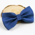 Klassische marineblaue Polyester Fliege mit weißen Punkten für Herren Hochzeitsanzug Party - Königsblau Polka Dot (LJ-CD14)