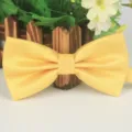 Yellow jacquard bow tie, fine plaid polyester business formal neck accessory for men. - Golden Yellow