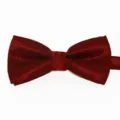 Farfallino rosso con trama a griglia fine per bambini, elegante accessorio elegante. - Rosso ciliegia