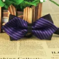 Black and purple striped pointed men's bow tie for business and casual wear events. - LJ-JJ25