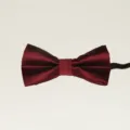 Burgund Roter Kinder Elastische Fliege, Klassische Gestreifte Polyester Festliche Krawatte. - Burgunderrot