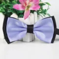 Klassische zweilagige Fliege aus elegantem violettem und schwarzem Satin für formelle Anlässe. - 17 Hellviolett