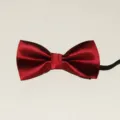 Rode kinder vlinderdas van polyesterzijde met elastische band voor formelle kleding - Rood