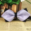 Men purple striped black bow tie, classic business wedding necktie variant style for modern formal dress. - LJ-JJ33