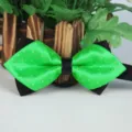 Farfallina in poliestere appuntita a pois verdi per uomo affari spettacolo matrimonio - Verde con Pois Argentati