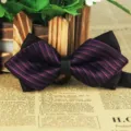 Men's black purple striped sharp-pointed bow tie, elegant business wedding polyester silk accessory. - LJ-JJ34