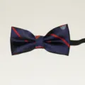 Kinderen schooluniform vlinderdas, blauw met rode strepen en elastische band voor jeugd. - Blauw met rode strepen