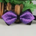 Farfallino a pois appuntito in poliestere viola da uomo matrimonio festa variante - Pois viola