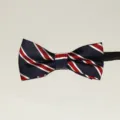 Kinderen Britse Stijl Gestreepte Strik Elastische Band Polyester Formele Prestatie - Marineblauw Rood Wit Diagonale Strepen