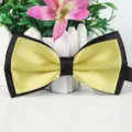 Schwarz-gelbe zweilagige Polyester Fliege für elegante Abendparty und Hochzeitsfeier. - 19 Hellgold