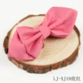 Herren Rosarot Spitz Polyester Fliege Einfarbig Jacquard Feines Gitter Halsbekleidung - Fuchsia