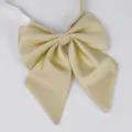 Elegante einfarbige Champagner JK Uniform Fliege mit schrägem Winkel für schöne Hemden. - Feder Stil (LH-CBYG20)
