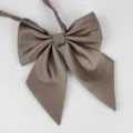 Einfarbige braune JK Uniform Feder Fliege, schicker schräger Kragenblumen für Bluse. - Feder Stil (LH-CBYG26)