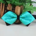 Farfalla verde a pois uomo classico smoking matrimonio festa cravatta accessorio moda - verde brillante