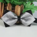 Farfallina nera a righe argentate uomo moda matrimonio festa cravatta accessorio stile - Strisce Argento