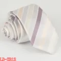 Men's slim stripe necktie fashion business wedding polyester formal wear neck tie accessory - LD-ZB12