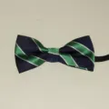 Kinderen schooluniform gestreepte vlinderdas, klassieke marineblauwe groene elastische strik. - Donkerblauw Groen Wit Gestreept