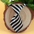 Classic black and white striped tie for kids and pets, perfect for parties and daily wear. - Black and White Diagonal Stripe (LD-CW15)