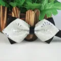 Elegante spitze Fliege für Herren mit silbernem Brokatmuster und schwarzem Akzent. - LJ-JD20