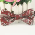 Herren Paisley Fliege Rot Braun Seidengefühl Business Anzug Smoking Halsschmuck Accessoire - LJ-HH30