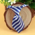 Blue and white striped polyester tie for kids and pets, cute performance accessory. - Blue and White Stripe (LD-CW27)