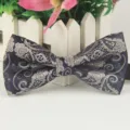 Herren Klassisch Marineblau Paisley Muster Fliege Elegante Formale Business Kleidung Variant - LJ-HH29