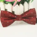 Roter gepunkteter Polyester Fliege für Herren, klassisches britisches Business-Accessoire. - LJ-HH20
