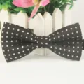 Schwarze gepunktete Polyester Fliege für Herren, britischer Business Hochzeitsaccessoire. - LJ-HH05