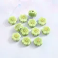 Ceramic daisy flower smiley beads loose beads DIY handmade bracelet jewelry making accessories - Fruit Green Vertical Hole