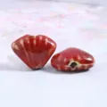 Red scallop ceramic beads DIY jewelry making bracelet necklace accessories approx 18mm - 18x23x8.5mm / Flower Glaze Red