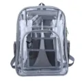 Clear PVC backpack with grey trim and multiple zipper pockets for daily school or travel use. - Gray