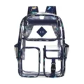 Clear PVC student backpack with dinosaur print, large capacity trendy school bookbag. - Blue Dinosaur