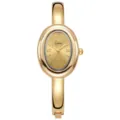 Nahaufnahme des luxuriösen goldenen ovalen Armbanduhr-Zifferblatts mit eleganten römischen Ziffern. - Gold
